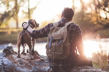 6 советов по практике социального дистанцирования при выгуле собаки