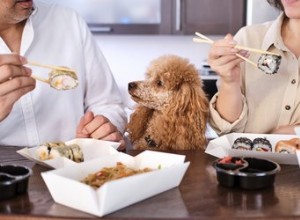 Mohou psi jíst sushi?