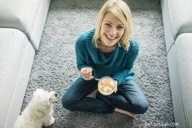 Moet ik mijn hond probiotica geven?