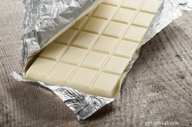 I cani possono mangiare il cioccolato bianco?