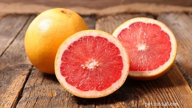 Kunnen honden grapefruit eten?
