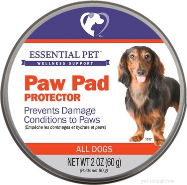 Så skyddar du dina hundtassar om de inte använder tossor