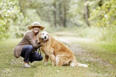 Как помочь собаке с деменцией
