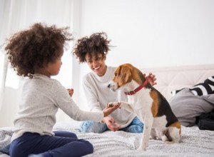 犬は自閉症になることができますか？ 