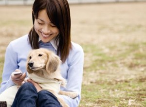 Il mio cane sa che sono incinta prima di me?