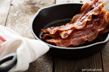 Kan hundar äta bacon?