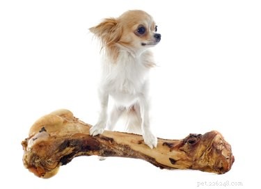 I cani possono mangiare le ossa di tacchino?