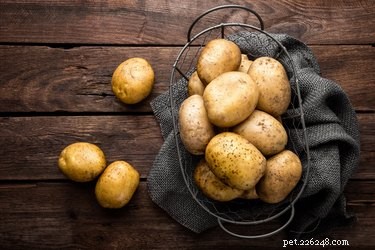 Os cães podem comer batatas?
