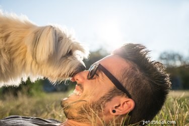 Att le gör att din hund älskar dig ännu mer