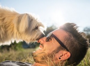 笑顔はあなたの犬にあなたをさらに愛させます 