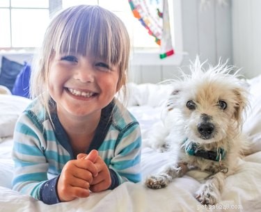 Váš pes z dětství mohl pomoci předcházet těmto běžným nemocem