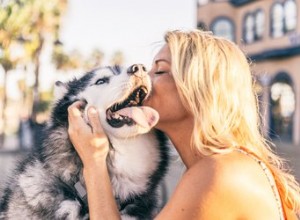 犬を養子にする準備はできていますか？ 