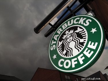 Een vrouw beweert dat Starbucks verantwoordelijk is voor de dood van haar hond 