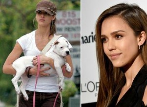 Dévastation alors que Jessica Alba perd son deuxième chien en 2 semaines