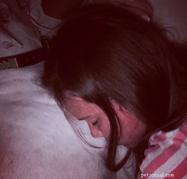 Förödelse när Jessica Alba förlorar sin andra hund på två veckor
