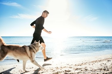 Är joggning hälsosamt för hundar?
