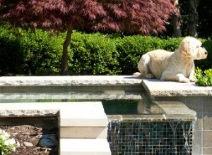 Est-il sécuritaire pour un chien d entrer dans un bain à remous ?