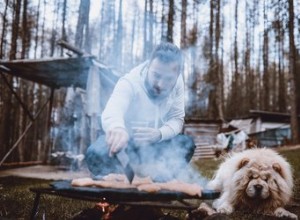 Comment faire cuire un steak pour votre chien