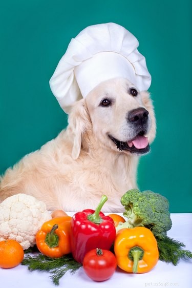 Onveilige groenten voor honden