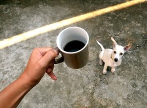 Que peut-il arriver si votre chien boit du café ?