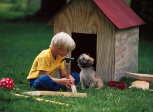 Symptômes d un intestin bloqué chez un chien