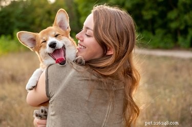 Hoe de hittecyclus van een vrouwelijke hond te stoppen