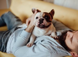 薬なしで犬のワームを取り除く方法 