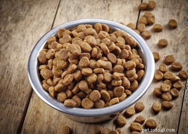 Lijst met glutenvrije honden- en kattenvoeding