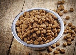 Seznam bezlepkových krmiv pro psy a kočky
