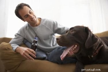 Come idratare un cane disidratato