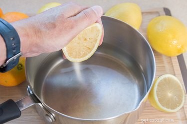 Jak vyrobit repelent proti blechám a klíšťatům s citronovou šťávou
