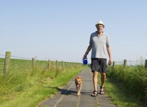 Remèdes naturels pour l arthrite chez le chien