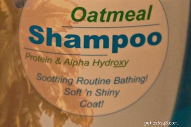 Nejlepší šampon pro psy na svědění a alergie