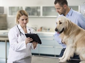 Jaké jsou způsoby léčby červů u psů?