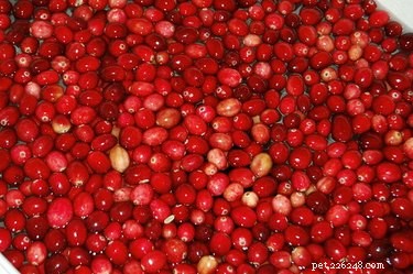 Cranberry voor urineweginfectie bij honden
