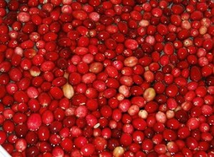 Cranberry para infecção do trato urinário em cães