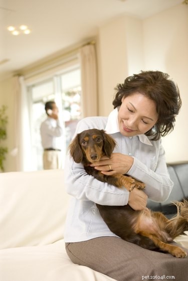 Symptom, prognos och förväntad livslängd för hjärtsvikt hos hundar
