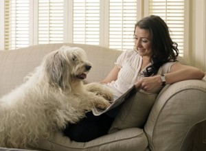 Que doenças os cães podem pegar de humanos?