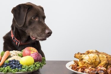 Comment réduire le cholestérol chez les chiens