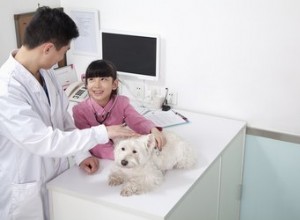 犬におけるアルベンダゾールの使用 