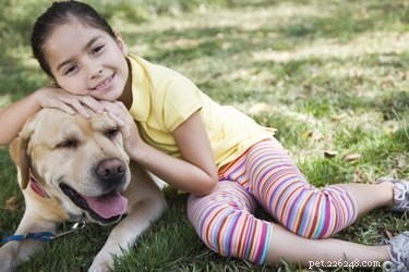Welke vrij verkrijgbare medicijnen kunt u een hond geven voor artritis?