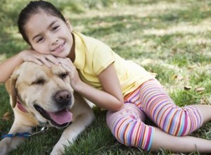 Qual ​​medicamento de venda livre você pode dar a um cachorro para artrite?