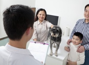 Sinais de falência de órgãos em cães