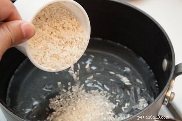Gekookte rijst gebruiken om diarree bij honden te stoppen
