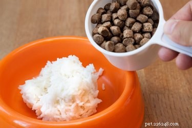 Como usar arroz cozido para parar a diarreia em cães