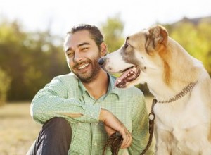 Trouble bipolaire chez un chien