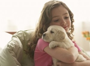 Como calcular o peso de um cão adulto durante a infância