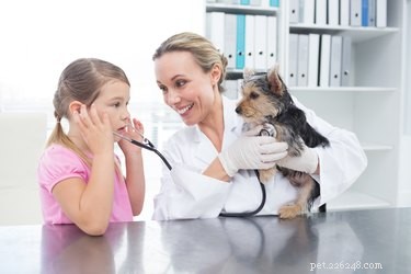 Bijwerkingen van gabapentine bij honden