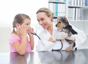 Побочные эффекты габапентина у собак