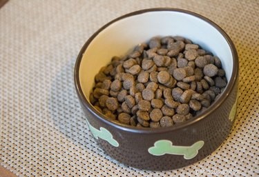 Diet för hundar med Cushings-sjukdom